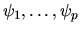 $\psi_1, \ldots ,\psi_p$