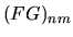 $\displaystyle (FG)_{nm}$