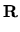$\displaystyle {\bf R}$