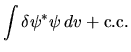 $\displaystyle \int \delta\psi^* \psi   dv + {\rm c.c.}$