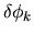 $\delta\phi_k$