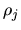$\rho_j$
